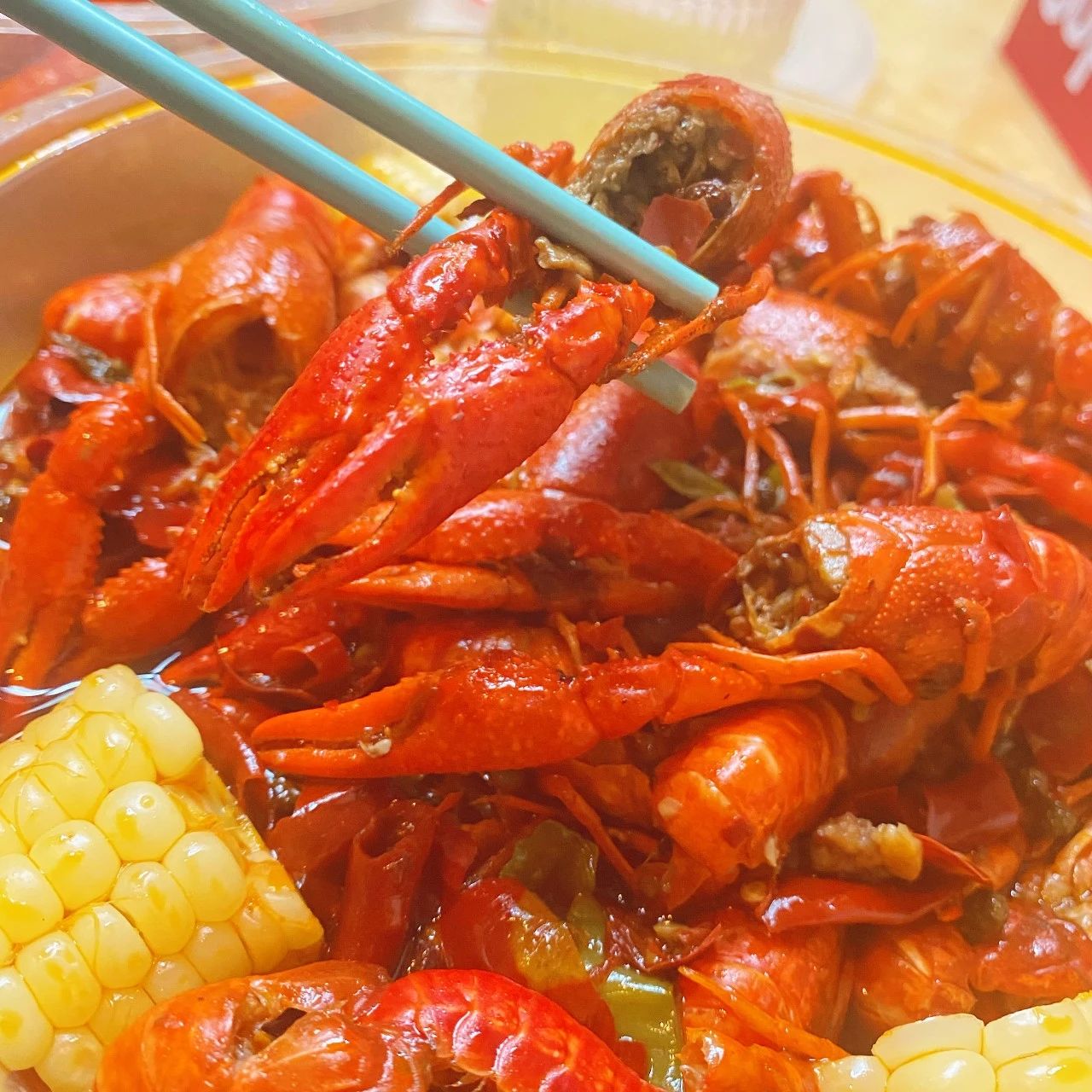 aee7ec02-2057-4763-8899-f41f2ed299e0